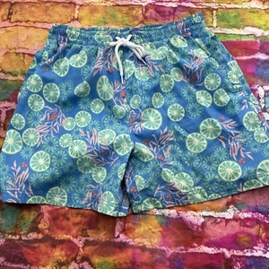 Southern Proper Men's Multicolor Print Swim Trunks Size S G38 - Picture 1 of 3