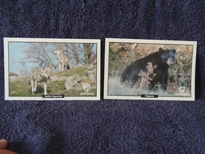Vintage 2 photos cards postal bear George & wolfs Arktoyros Greece - Picture 1 of 8