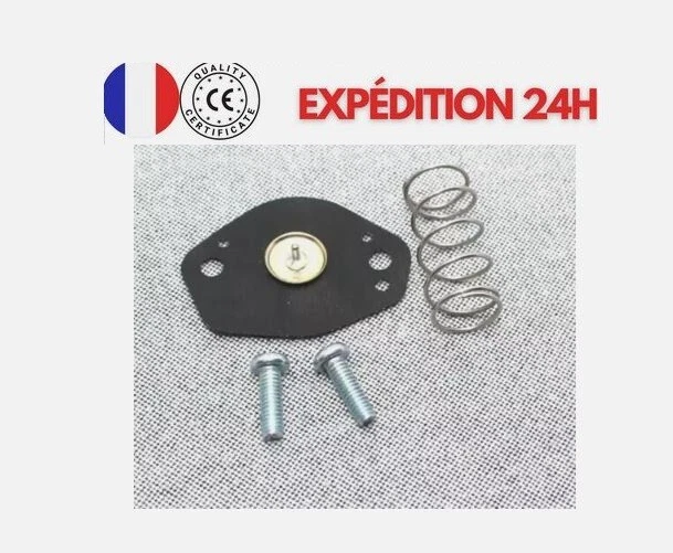 Kit de reparación de carburador para Suzuki DRZ125/400, SV650, VL1500/800, LTZ400 Foto 1 de 1