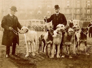 IRISH WOLFHOUND CHARMING DOG GREETINGS NOTE CARD, TWO MEN AND GROUP OF DOGS - Picture 1 of 1