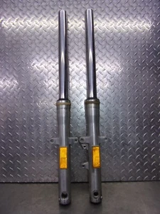 HONDA VTX1300 VTX 1300 R 2005 HORQUILLA DELANTERA OEM 823 (DOS) RECTA - Imagen 1 de 7