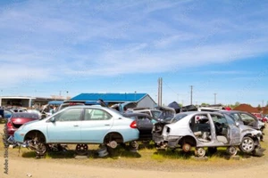 Automotive Salvage Junk Yard Business Plan - Picture 1 of 3