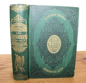 1878 - Earthly Trials and Glory of the Immortal Life by J.E. Stebbins - 1st Ed. - Imagen 1 de 7