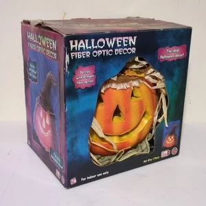 Decorazione Halloween in fibra ottica Jack-O-Lantern Spaventapasseri Corvo (Gemmy, Michael's, 2007) - Foto 1 di 18