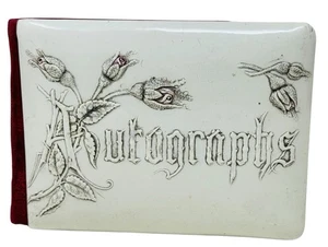 ANTIKES CELLULOID AUTOGRAMMBUCH VON A.E. Merriman, Bryon, NY 19.03.1895 - Bild 1 von 9