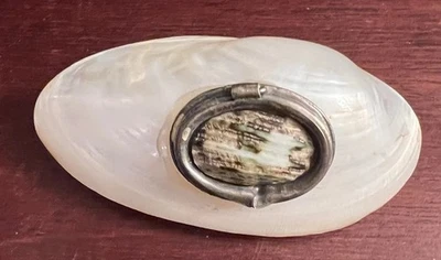 Ancien encrier pilulier tabatière Boîte en coquillage  nacré Curiosités - Photo 1/4