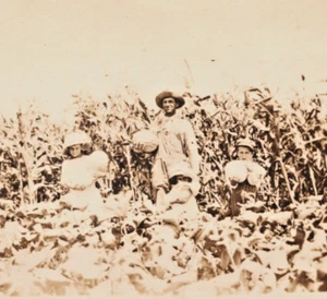RPPC Happy Children and Man in Watermelon Patch Squash Garden Postcard Farming - Picture 1 of 5