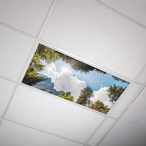 Fluorescent Light Decorative Covers for Classroom Ceiling Lights - 2x4 22.38i... - Picture 1 of 7