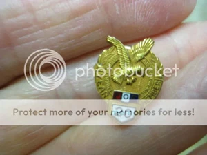 Vintage 10k gf FOE Fraternal Order of Eagles 20 Year Screw Back Pin - Picture 1 of 1