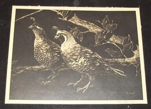 GEORGE KOUNTOUPIS OKLAHOMA ART ENGRAVING QUAIL GROUSE PRINT SIGNED SEPIA PICTURE - Picture 1 of 2