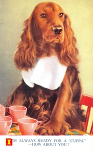PERRO BAMFORTH BUENA SUERTE NO G216 SIN USAR MUY BUENO - Imagen 1 de 2