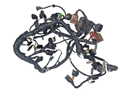 KAWASAKI EX300 NINJA 2013-17 MODELO NO ABS ARNÉS COMPLETO CABLEADO PRINCIPAL TELAR Foto 1 de 4