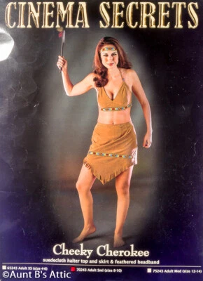美洲原住民性感 Cheeky Cherokee 女士 3 件 Br 人造麂皮绒 服装 SM — 第 1/4 张图片