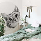 A.S. Cration Vlies Fototapete -  Sneaky Cat DD119211 Tiere Designwall