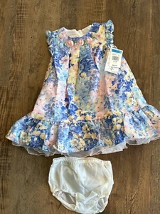 Bonnie Baby Watercolor Floral Print Toddler 2 Piece Dress Size 24M NWT - Picture 1 of 5