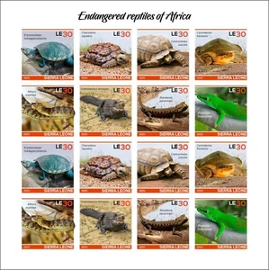 SIERRA LEONE 2025 MS16V IMPERF REPTILES TURTLE TURTLES CROCODILE CHAMELEON SNAKE - Picture 1 of 1