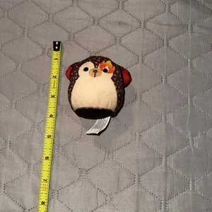 Squishmallow Beaver? Peluche pequeño - Imagen 1 de 2