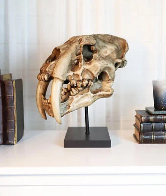 Sabertooth Tiger Cat Fossil Skull Skeleton Replica Statue With Museum Pole Mount - Image 1 of 4