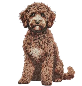 Sudadera con Capucha Aussie Doodle Pastor Australiano Caniche Perro Bordada - Imagen 1 de 2