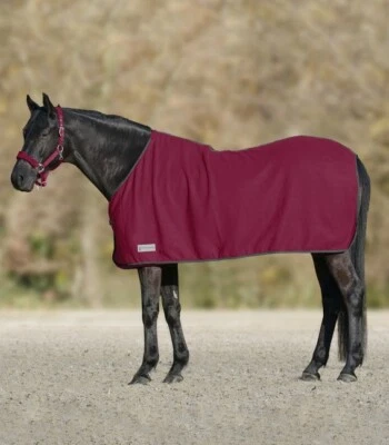 Fleecedecke Economic  Abschwitzdecke Pferdedecke 75,85,95,105,115,135,145,155  - Bild 1 von 2