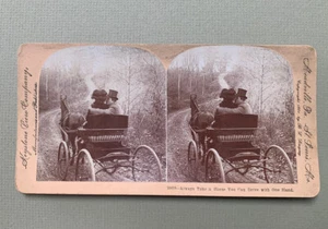 Horse Drawn Carriage Lovers Comedy Romance Antique Stereoview - Picture 1 of 4