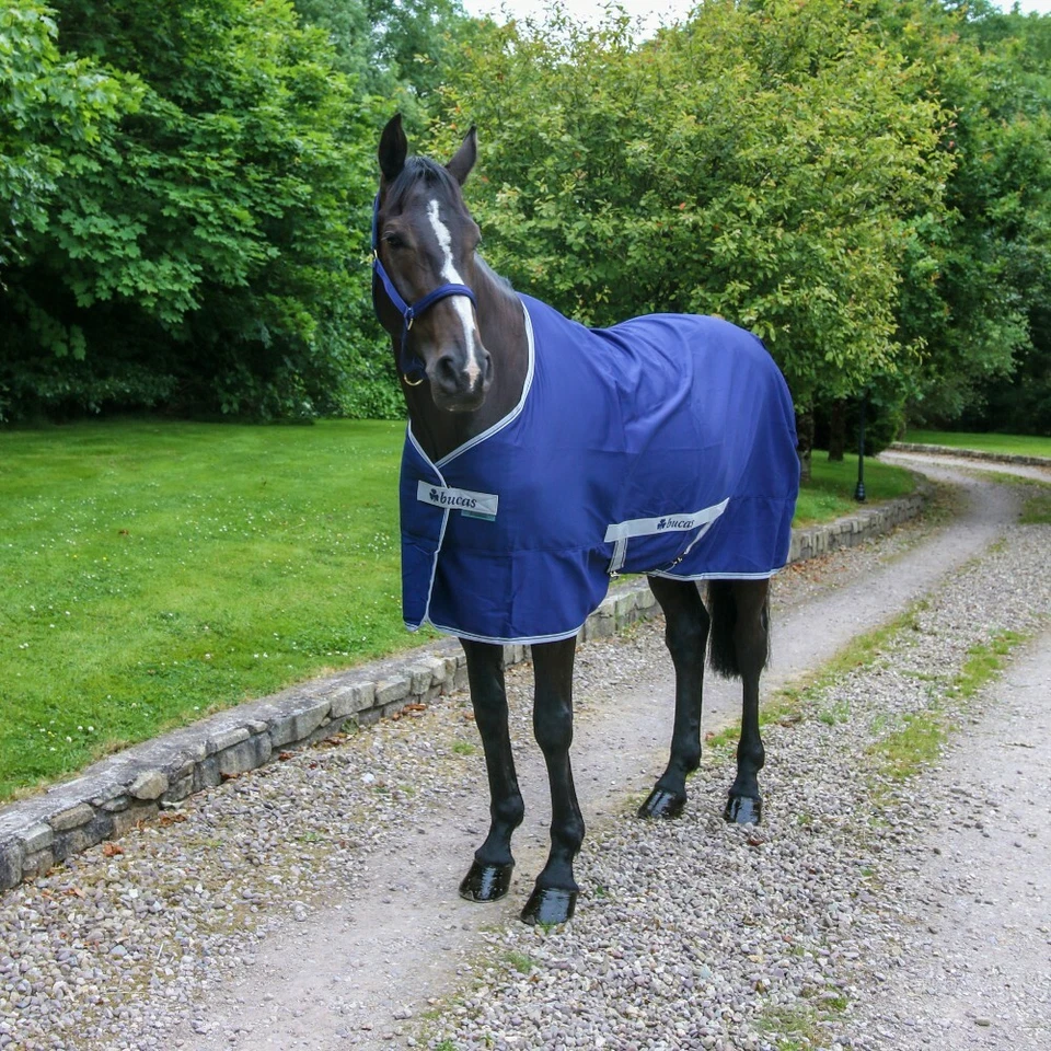 % BUCAS FREEDOM TWILL SHEET navy Stall-/Transportdecke UVP €79,00 -NuddelHof -NH - Bild 1 von 1