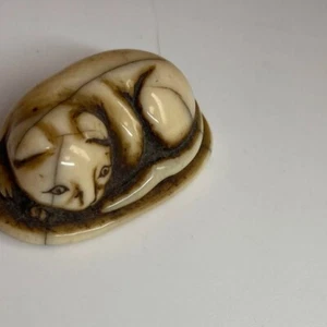 Edo Period Japanese Netsuke Sleeping Cat 3.6cm 9g Antique Hand Carved Figurine A - Picture 1 of 8