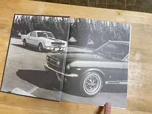 Mustang Does It! An Illustrated History (The Ford Road Series Vol 6 Hardcover - Imagen 1 de 10