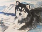 Morris Docktor Original Pastel, Siberian Husky in Mountains, Fine Art, Dog Art