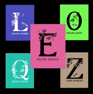 Customizable Name Color Art Girl Boy Room Nursery monogram Dragonfly 8x10 11x14” - Picture 1 of 18