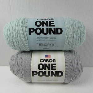 Caron One Pound Worsted Weight Acrylic Yarn in Light Green and Gray Lot of 2 - Picture 1 of 7
