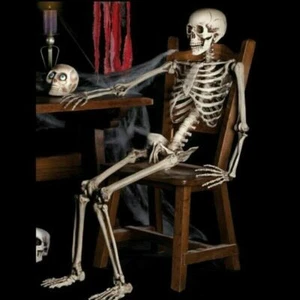 170cm Halloween Poseable Skeleton Full Life Size Human Skeleton Decoration Props - Picture 1 of 13