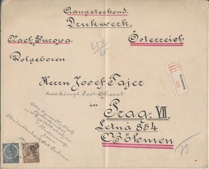 INDONESIA Nederlansch Indie Dutch East Indies 1909? BUITENZORG Bogor to Czechia - Picture 1 of 2