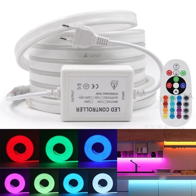 Luce al Neon Striscia LED RGB 220V 5050SMD Flessibile Strip Cucinac Impermeabile - Immagine 1 di 4