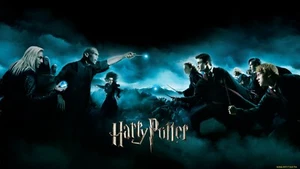 Harry Potter and the Order of Phoenix original promotional movie poster 36x24 in - Picture 1 of 1