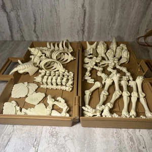 Vintage Fisher Price Design A Saur Dinosaur Bones Complete 38 Pieces No Manual - Picture 1 of 8
