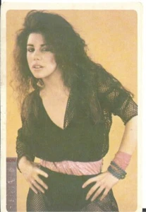 ⭕VTG card pocket calendar 1986 LEE AARON Portugal group music singer - Picture 1 of 2