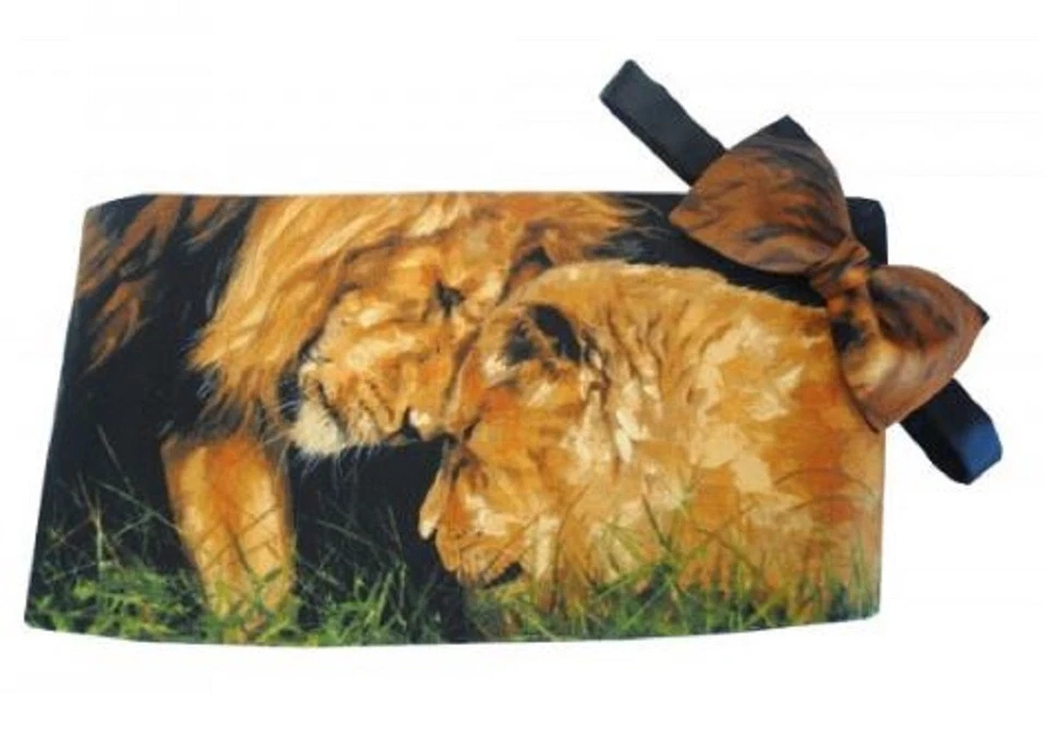 Juego de faja y pajarita Lion's Den Foto 1 de 1