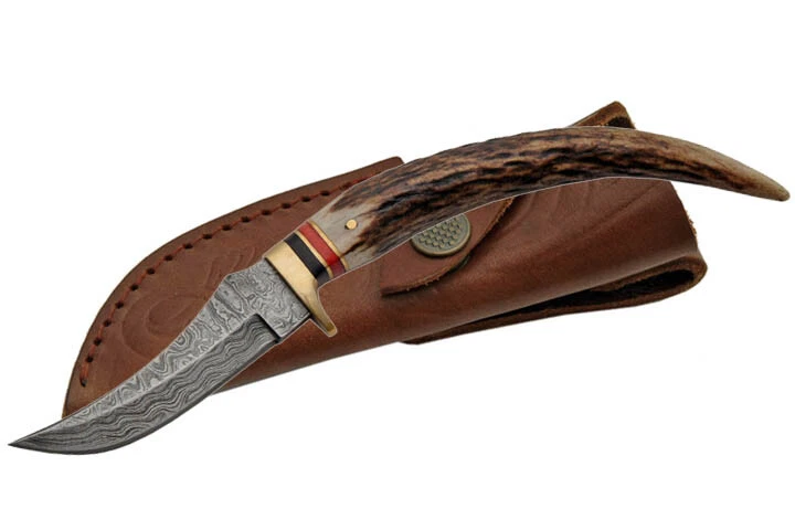NEW 8" Damascus Steel, Stag Horn Handle Hunter Skinning Knife w/ Brown Sheath - Image 1 of 1