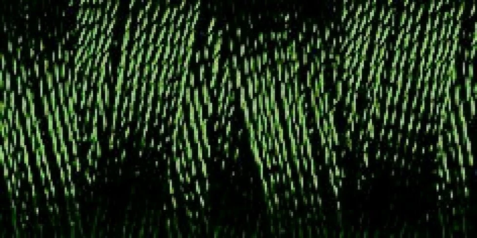 Gutermann Rayon 40 Embroidery Thread, 200m 220 yd - colour 1272 - Image 1 of 1