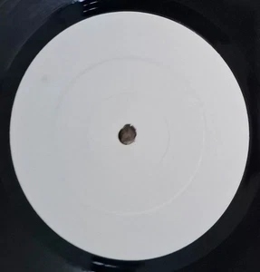 DATA 'In Blue - D.J.' 12" white label vinyl (PROTO Records ENAT133) - Picture 1 of 4