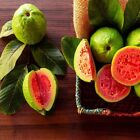 100+ różowych nasion guawy cytryna jabłoń owoc rubin supreme roślina psidium guajava
