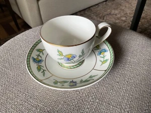 Villeroy & Boch / Heinrich "Columbia" ~ Tea Cup & Saucer ~ Mint Condition - Picture 1 of 6