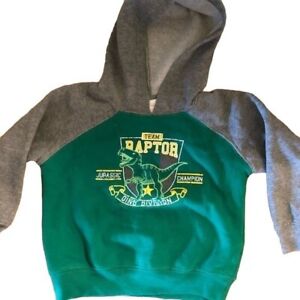 wonder kids green & gray hooded long sleeve sweatshirt raptor 18 months READ