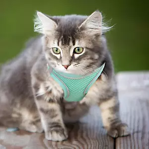 Cat Harness and Leash Escape Proof Kitten Harness and Leash Set for Walking - Picture 1 of 11