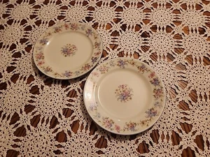THOMAS MARFIL BAVIERA ALEMANIA ¡JUEGO DE 2 PLATOS DE ENSALADA FLORALES (07019)! 1932-1950 - Imagen 1 de 8
