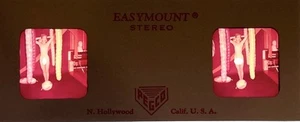 3D Stereo Realist Vintage Nude Pinup Model 9 - Picture 1 of 2