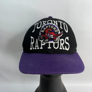 Toronto Raptors Mens Hat Snapback Mitchell & Ness Hardwood Classics NBA Purple - Picture 1 of 7