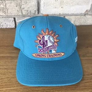 RARE Vintage 1996 Spring Training MLB Baseball Starter Fitted Cap Hat Blue 7 Vtg - Picture 1 of 9