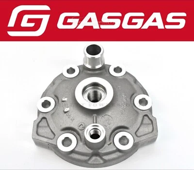 Cylinder Head EX EC 300 2021-2023 Top End Dome Genuine Gas Gas #Y207 B - Image 1 of 4
